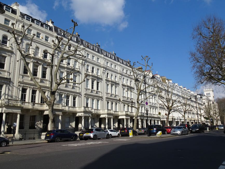 No flowers are visible in this image, which shows a row of elegant white Victorian-style terraced buildings with decorative architectural details, large windows, and balconies. The street in front fea